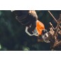 STIHL ASA 130